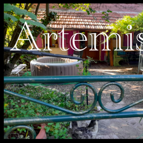 la casa di ARTEMISIA 